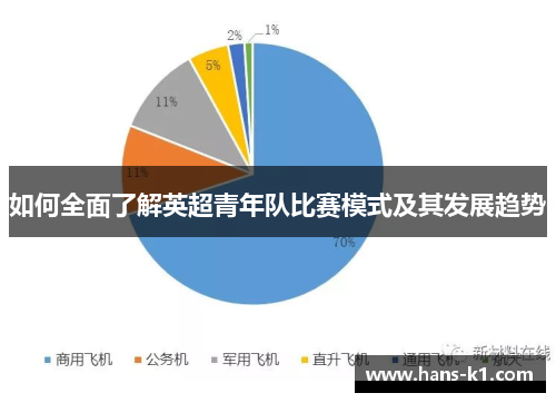 如何全面了解英超青年队比赛模式及其发展趋势