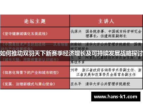 如何推动双羽天下新赛季经济增长及可持续发展战略探讨