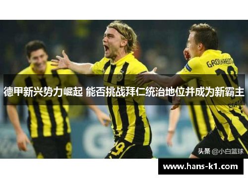 德甲新兴势力崛起 能否挑战拜仁统治地位并成为新霸主